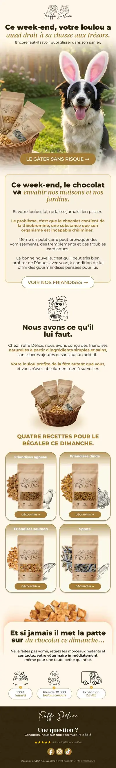 Exemple de newsletter e-commerce r&eacute;alis&eacute;e par Spicy Agency
