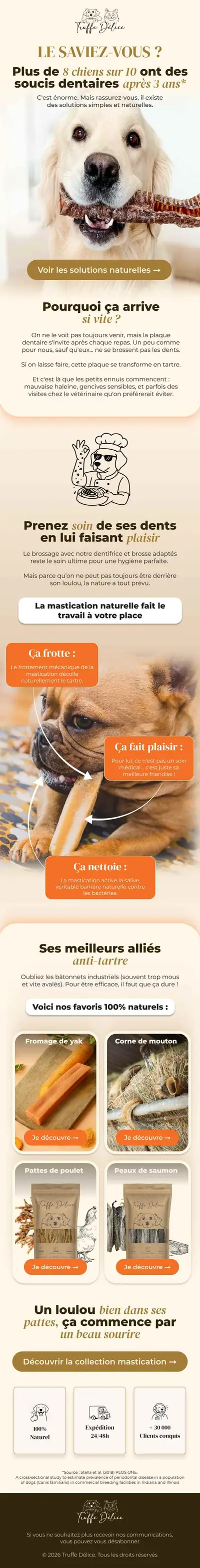 Exemple de newsletter &eacute;ditoriale &laquo; Le saviez-vous &raquo; r&eacute;alis&eacute;e par Spicy Agency